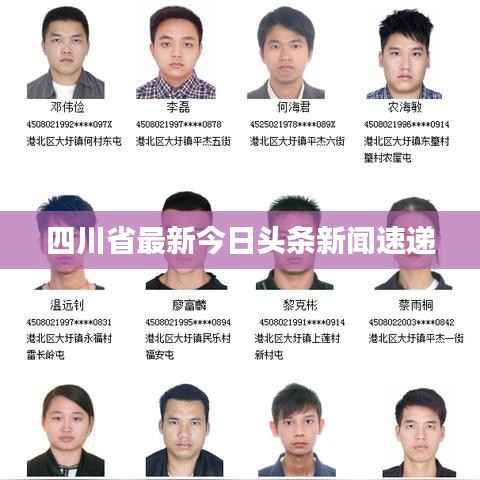 四川省最新今日頭條新聞速遞