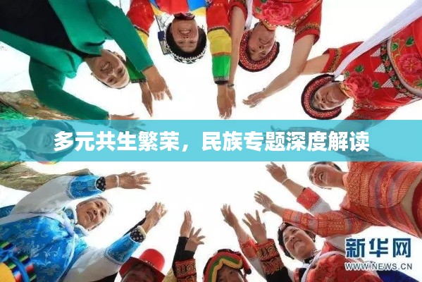 多元共生繁榮，民族專題深度解讀
