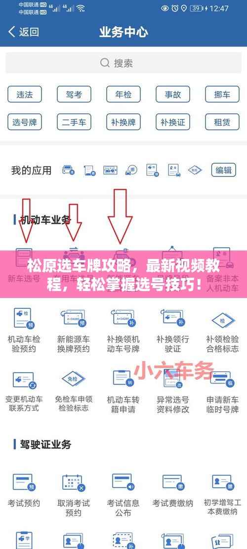 松原選車牌攻略，最新視頻教程，輕松掌握選號技巧！