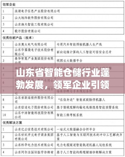 山東省智能倉儲行業蓬勃發展，領軍企業引領潮流榜單揭曉！