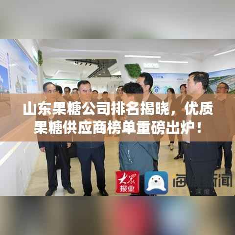山東果糖公司排名揭曉，優質果糖供應商榜單重磅出爐！