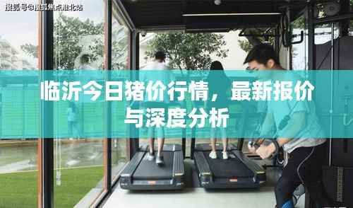 臨沂今日豬價行情，最新報價與深度分析