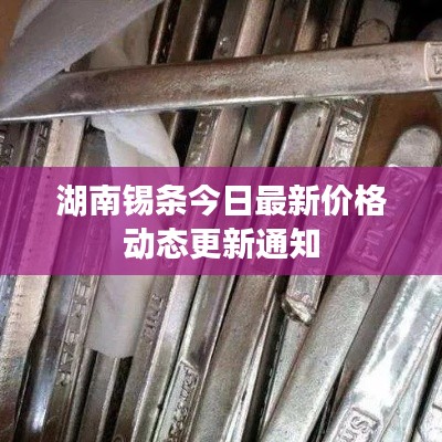 湖南錫條今日最新價格動態更新通知