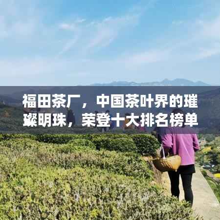 福田茶廠，中國(guó)茶葉界的璀璨明珠，榮登十大排名榜單