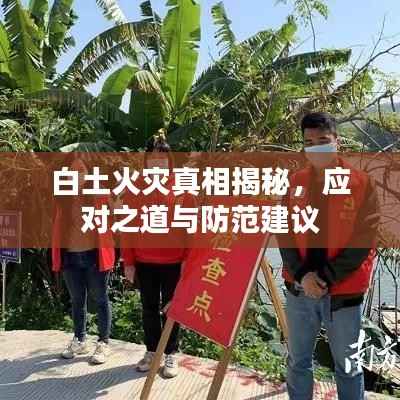 白土火災真相揭秘，應對之道與防范建議