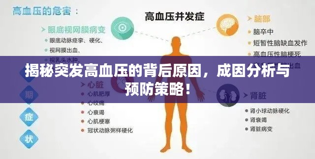 揭秘突發(fā)高血壓的背后原因，成因分析與預(yù)防策略！