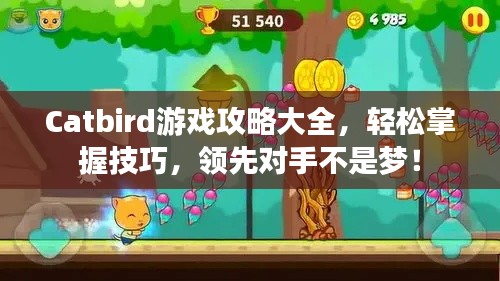 Catbird游戲攻略大全，輕松掌握技巧，領先對手不是夢！