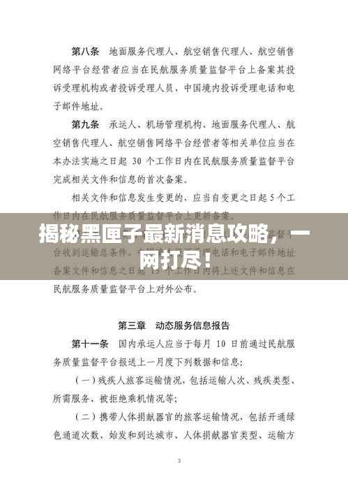 揭秘黑匣子最新消息攻略，一網打盡！