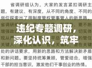 違紀(jì)專(zhuān)題調(diào)研，深化認(rèn)識(shí)，筑牢防線，守護(hù)制度紅線