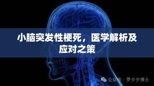 小腦突發性梗死，醫學解析及應對之策