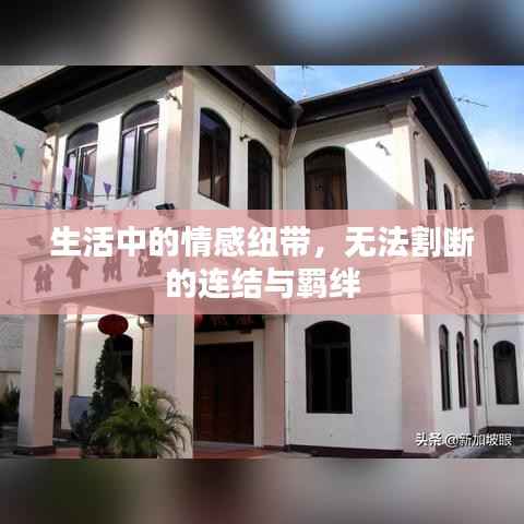 生活中的情感紐帶，無法割斷的連結與羈絆