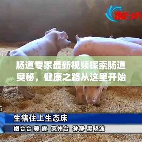 腸道專家最新視頻探索腸道奧秘，健康之路從這里開始