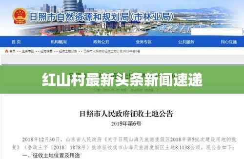 紅山村最新頭條新聞速遞