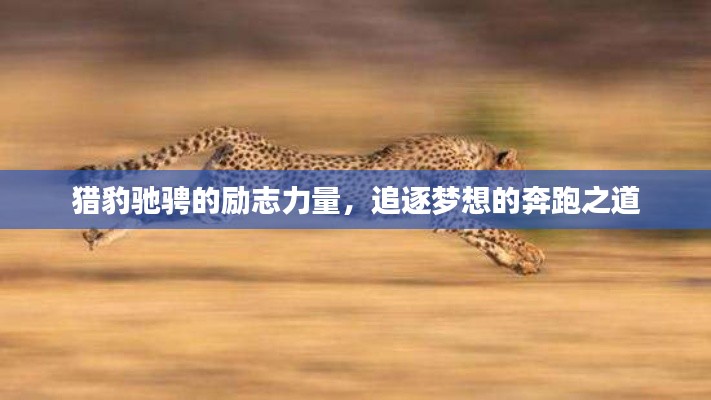 獵豹馳騁的勵志力量，追逐夢想的奔跑之道