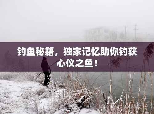 釣魚秘籍，獨家記憶助你釣獲心儀之魚！