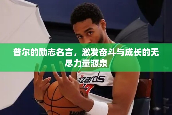 普爾的勵志名言，激發奮斗與成長的無盡力量源泉