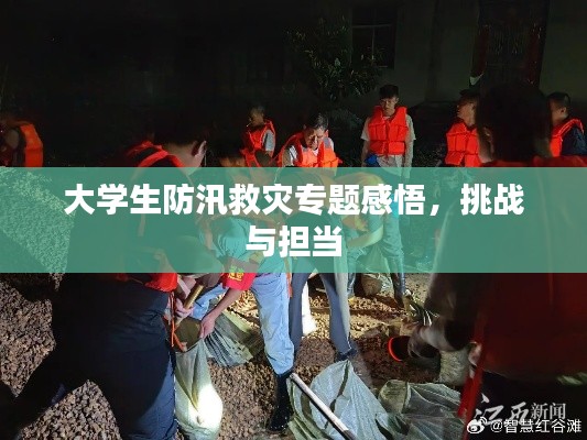 大學生防汛救災專題感悟，挑戰與擔當