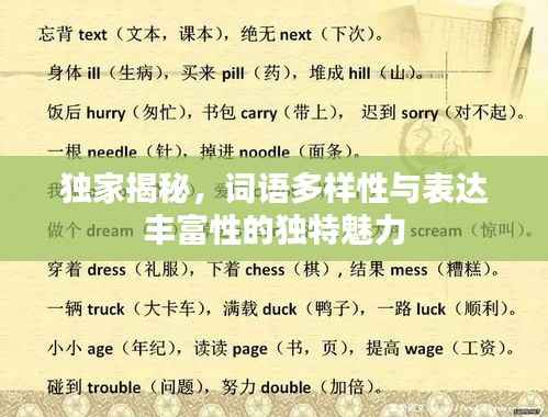 獨家揭秘，詞語多樣性與表達豐富性的獨特魅力