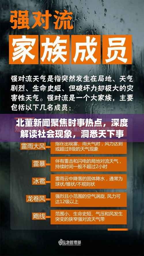 北董新聞聚焦時事熱點，深度解讀社會現象，洞悉天下事