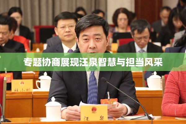 專題協商展現汪泉智慧與擔當風采