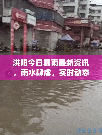 洪陽今日暴雨最新資訊，雨水肆虐，實時動態關注！