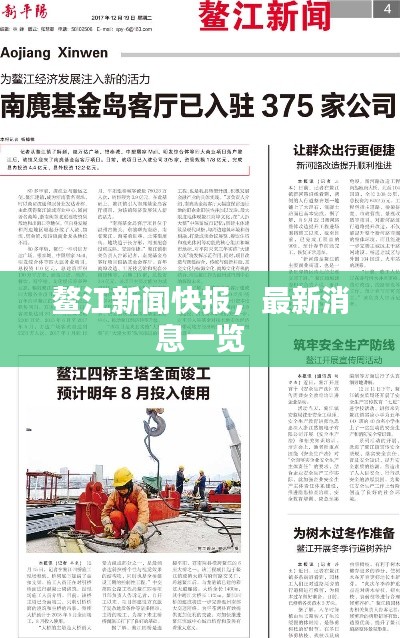 鰲江新聞快報，最新消息一覽