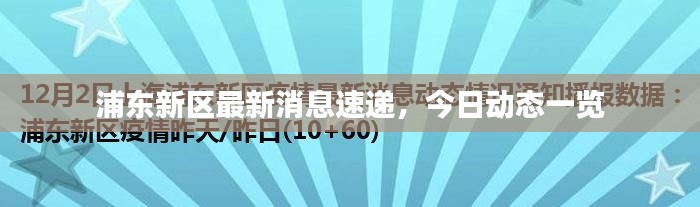 浦東新區最新消息速遞，今日動態一覽