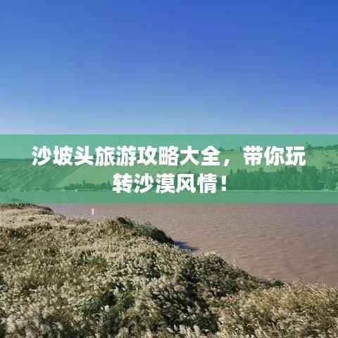 沙坡頭旅游攻略大全，帶你玩轉沙漠風情！