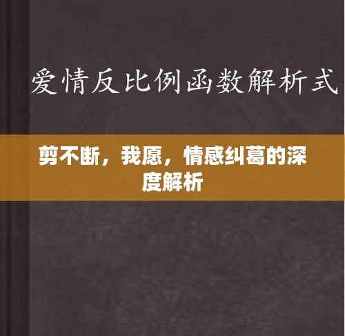剪不斷，我愿，情感糾葛的深度解析