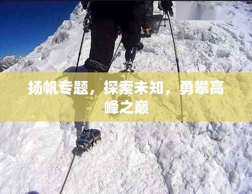 揚帆專題，探索未知，勇攀高峰之巔