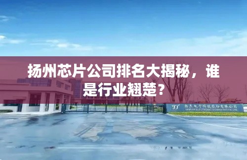 揚州芯片公司排名大揭秘，誰是行業翹楚？