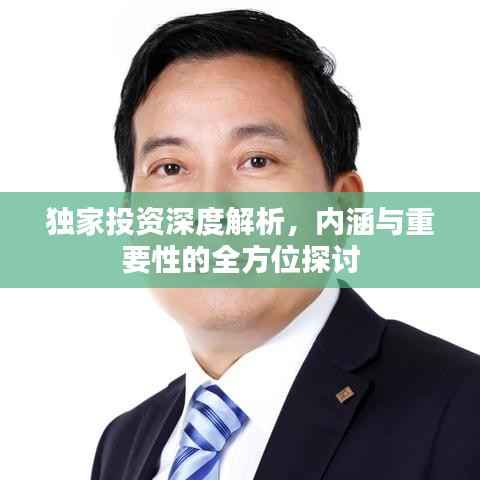 獨家投資深度解析，內涵與重要性的全方位探討