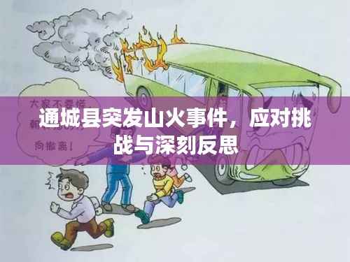 通城縣突發山火事件，應對挑戰與深刻反思