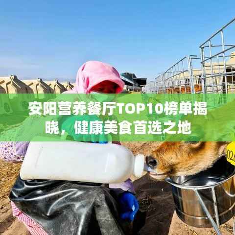安陽營養(yǎng)餐廳TOP10榜單揭曉，健康美食首選之地