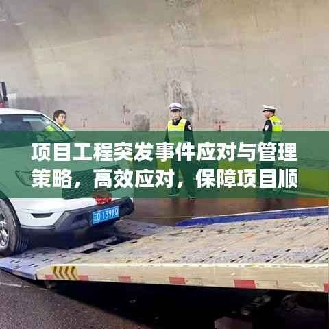 項目工程突發事件應對與管理策略，高效應對，保障項目順利進行