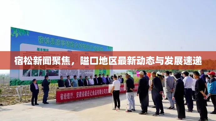 宿松新聞聚焦，隘口地區(qū)最新動態(tài)與發(fā)展速遞