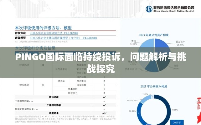 PINGO國(guó)際面臨持續(xù)投訴，問題解析與挑戰(zhàn)探究