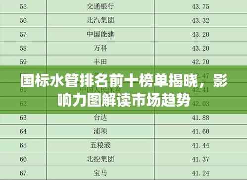 國標水管排名前十榜單揭曉，影響力圖解讀市場趨勢