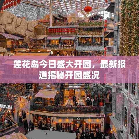 蓮花島今日盛大開園，最新報道揭秘開園盛況