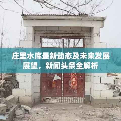 莊里水庫最新動態及未來發展展望，新聞頭條全解析
