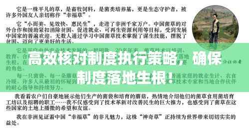 高效核對制度執(zhí)行策略，確保制度落地生根！