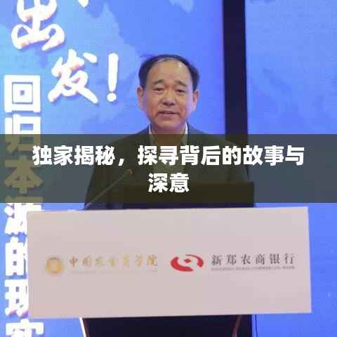 獨家揭秘，探尋背后的故事與深意