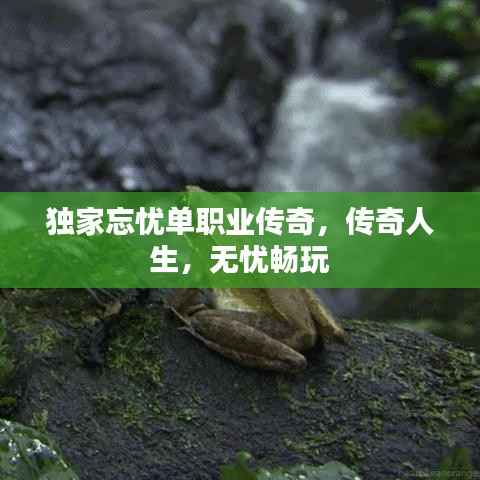 獨家忘憂單職業傳奇，傳奇人生，無憂暢玩