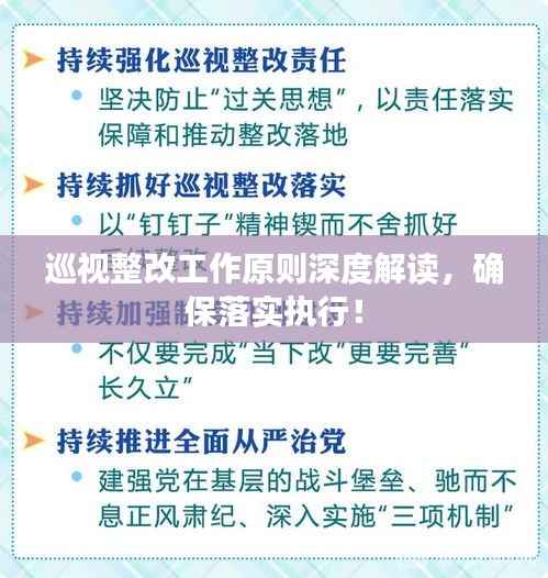 巡視整改工作原則深度解讀，確保落實執行！
