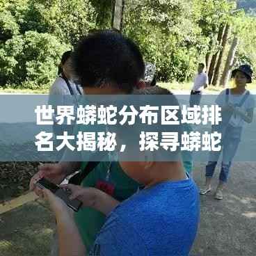 世界蟒蛇分布區域排名大揭秘，探尋蟒蛇棲息地的奧秘