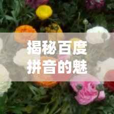 揭秘百度拼音的魅力，一鍵探索全面精準的拼音查詢