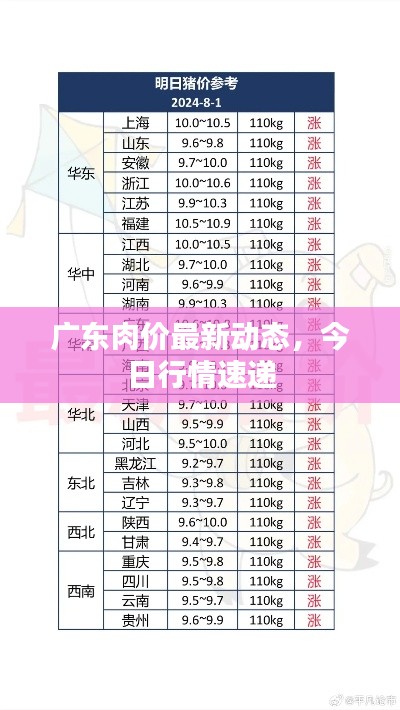 廣東肉價最新動態，今日行情速遞