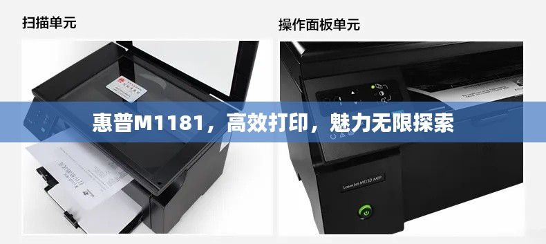 惠普M1181，高效打印，魅力無限探索