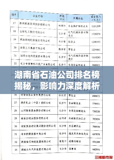 湖南省石油公司排名榜揭秘，影響力深度解析