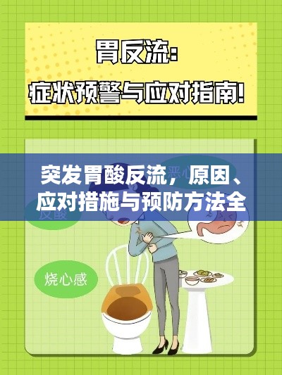 突發胃酸反流，原因、應對措施與預防方法全解析